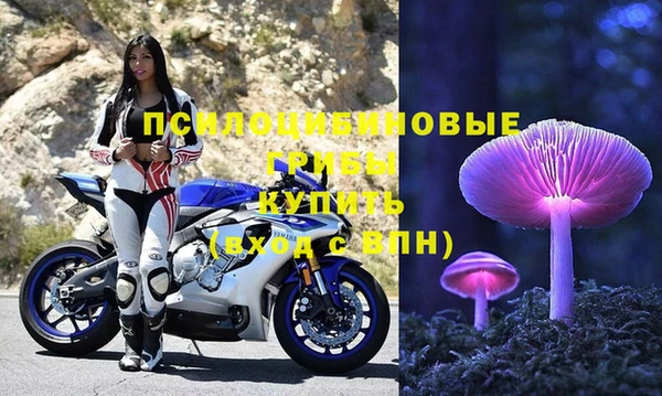 ECSTASY Алексин